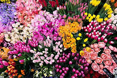 乔治·RR·马丁COS女武神祝贺《艾尔登法环》发行