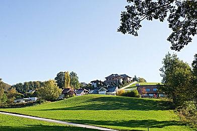 华大集团CEO：基因编辑技术可在猪身上生产出人心